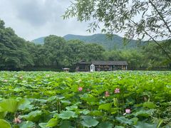 -兰亭风景区
