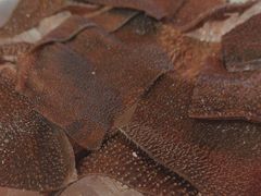 -八合里潮汕鲜牛肉火锅(吉大店)