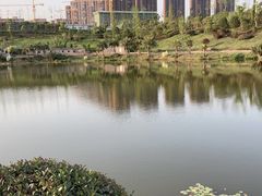 -枫香湖儿童公园