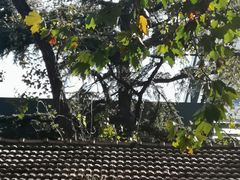 -西安电影制片厂