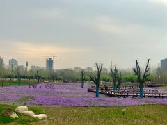 -汉长安城未央宫国家考古遗址公园