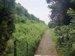 -秦始皇帝陵博物院-丽山园