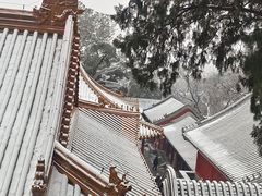 -法海禅寺