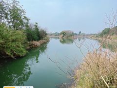 -白鹭湾湿地公园