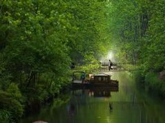 -合肥滨湖国家森林公园