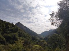 -南丹山森林王国