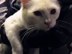 -赢吧Bliss音乐酒吧
