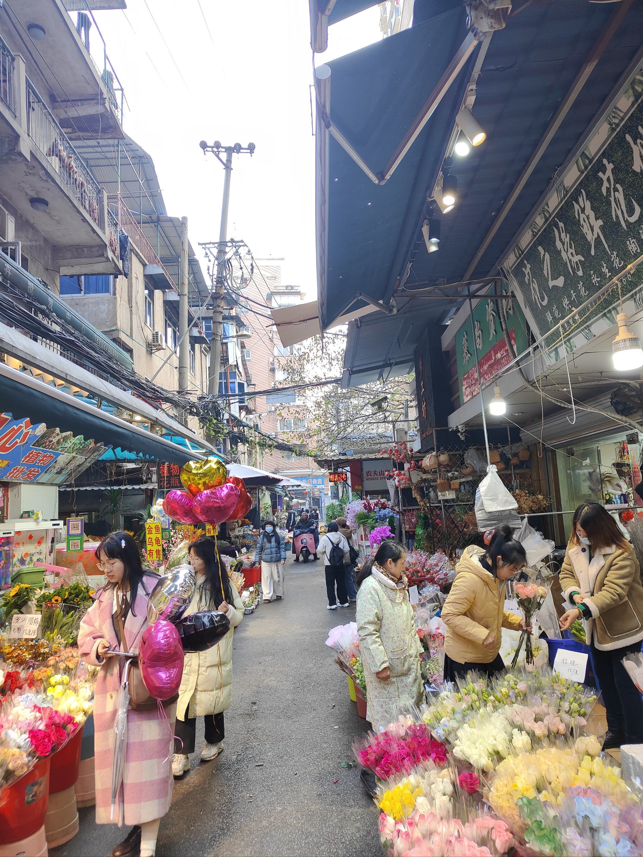 循礼门地铁站附近,一出地铁站走几百米就可以从小巷子进去,鲜花94的