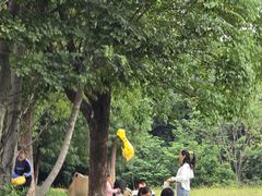 -盘龙城国家考古遗址公园