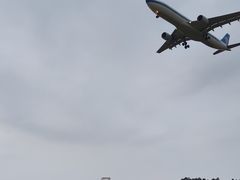 -空港花田景区