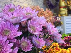 -杭州街角花屋花店(闻堰店)