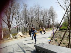 -北京麋鹿生态实验中心