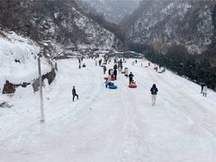 -少华山国家森林公园