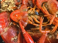 -龙巢盱眙龙虾·牛蛙·烧烤宵夜(八卦岭店)