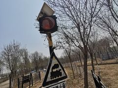-西青郊野公园