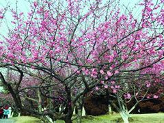 -白塘生态植物园