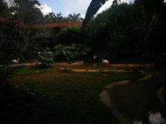 -海南热带野生动植物园