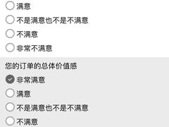 售后调研-棒约翰比萨意面(马家堡西路店)