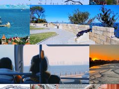 -东辰望海鱼码头·海鲜餐厅