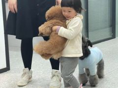 -四月宠物医院·猫专科·心脏专科·内科(转塘店)