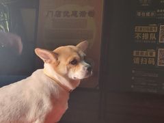-泰堤坊(淡水体育馆店)