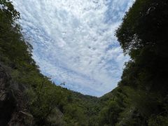 -广州白江湖森林公园