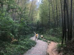 -南山风景名胜区