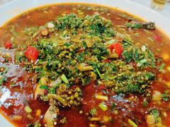 -苏记溪河鲢鱼庄(天府新区店)