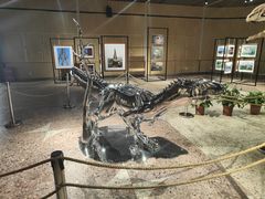 -自贡恐龙博物馆