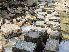 -广州白江湖森林公园