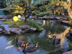 -扬州瘦西湖温泉