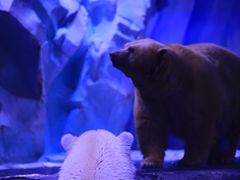 -上海海昌海洋公园