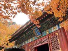 -香山公园