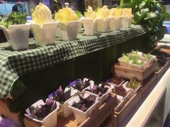 -曼格活海鲜·牛排自助(光明蓝鲸店)