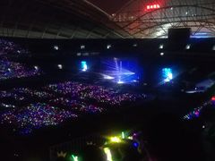 陈奕迅演唱会-沈阳奥林匹克体育中心