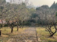 -无锡梅园公园