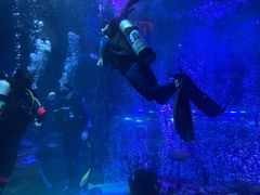 -沈阳海洋探索中心