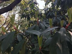 -橙天嘉禾影城(苏州印象城店)