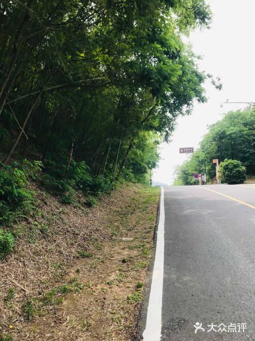 南京市无想山景区图片