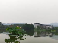 -浙江农林大学(东湖校区)