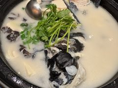 -老淳安—伴山伴湖(千岛湖开元度假村店)