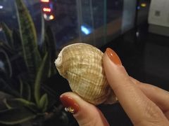 大海螺-郑州粤海酒店(郑州二七广场店)