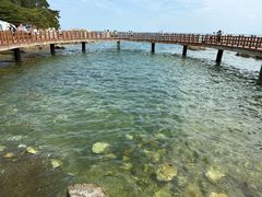 -养马岛旅游度假区