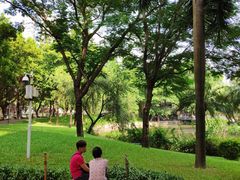 -晓港公园