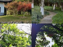 -范蠡湖公园