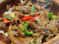 啫九层塔牛肉-天宝食坊·啫啫煲大排档(西华路店)