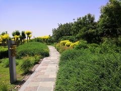 -东疆建设开发纪念公园