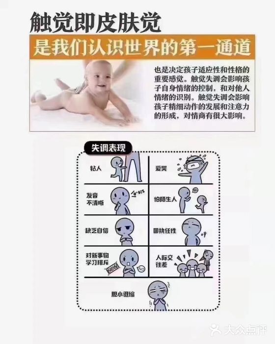 金色雨林学习力培优(专注力提升)图片