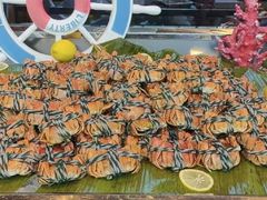 -金石滩绿发温泉假日酒店-海洋之星餐厅