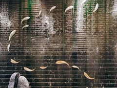 -好望角大饭店(肇嘉浜路店)